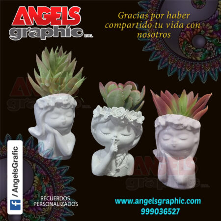 Macetitas con plantas naturales, angels graphic
