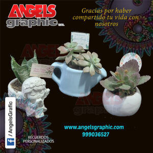 Plantitas naturales, angels graphic