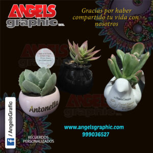 plantitas naturales, angels graphic